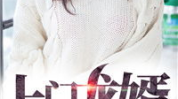 上门女婿叶辰完整版免费阅读,逆袭之路，免费阅读全文