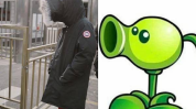 喜喜吃瓜娱乐,揭秘娱乐圈幕后故事,带你领略明星真实生活