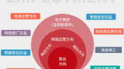 电子商务专业就业方向,多元就业方向与未来职业蓝图