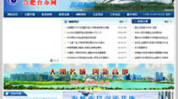 合肥网站制作公司,专业定制，助力企业网络腾飞