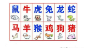 生肖属相配对,揭秘十二生肖的最佳婚配与相处之道