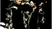 一代宗师完整版,武学巅峰的传奇人生