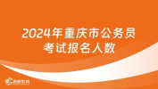 重庆市公务员考试网,重庆市公务员考试报名流程及注意事项