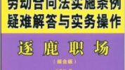 劳动合同法实施细则,全面解读劳动关系保障与规范