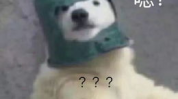 羊了个羊娱乐吃瓜,娱乐吃瓜,揭秘网络爆款游戏背后的故事