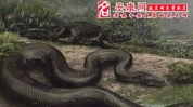 周公解梦 梦见蟒蛇,蟒蛇梦境的寓意与象征